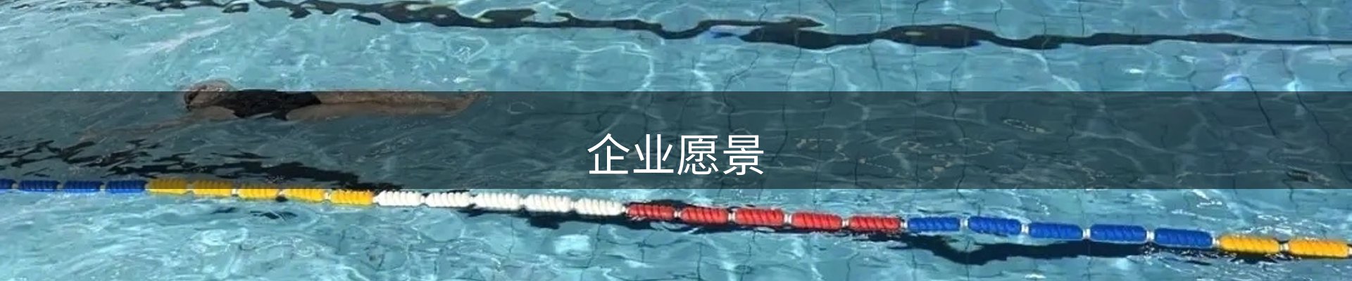 企业愿景