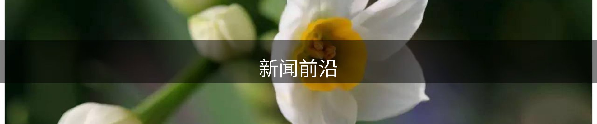 新闻前沿